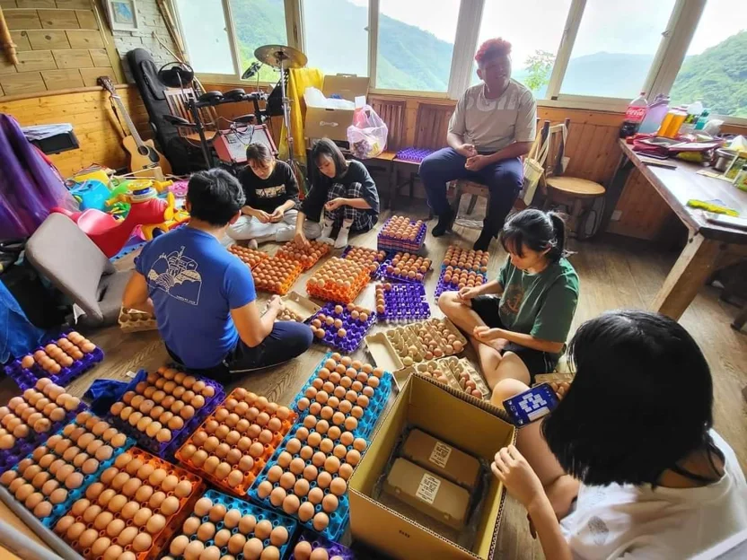 172603354395070 P30483797