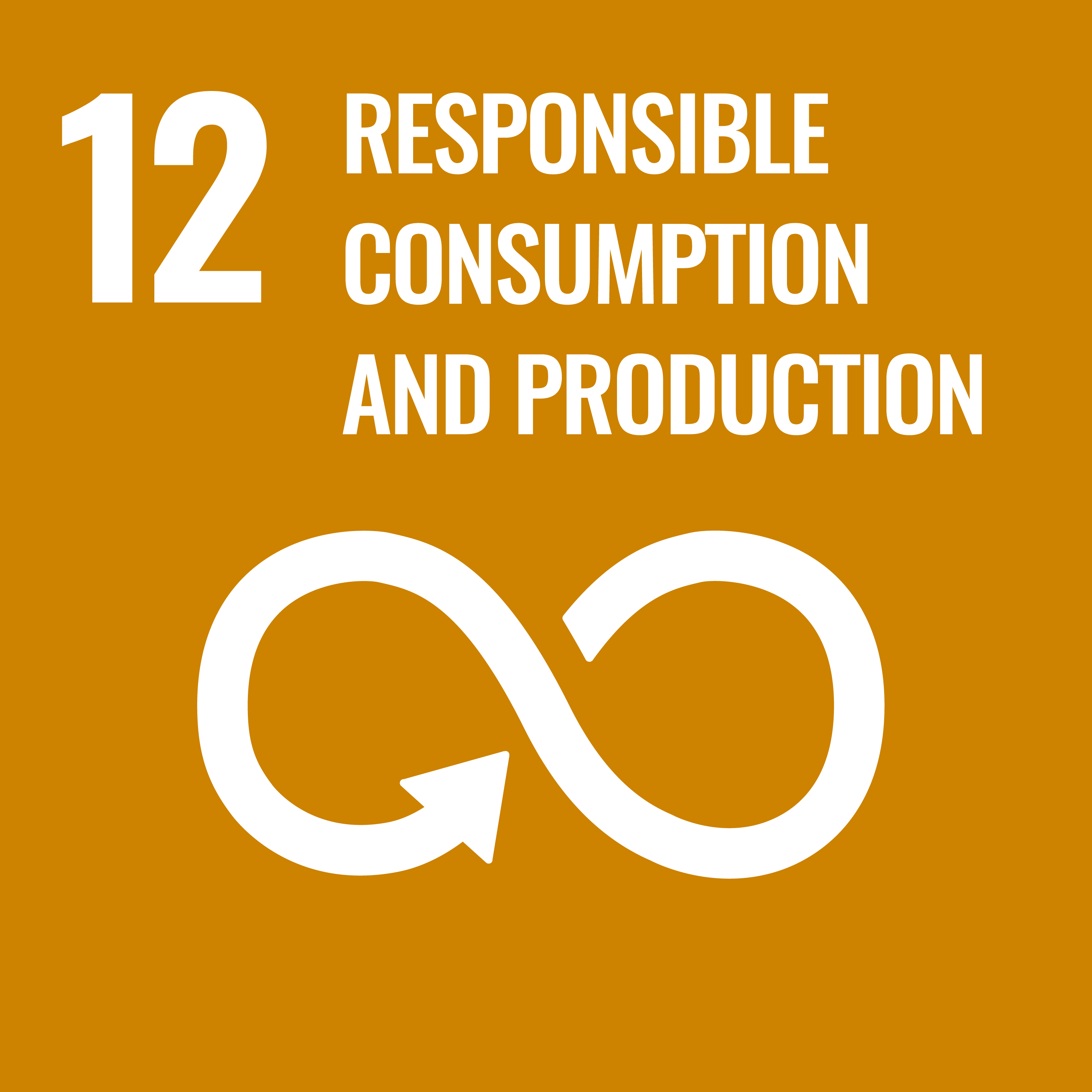 E SDG PRINT 12